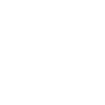 Icône